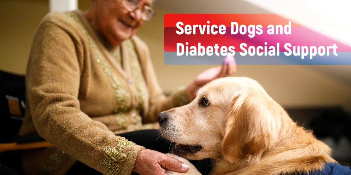 Service Dogs and Diabetes
